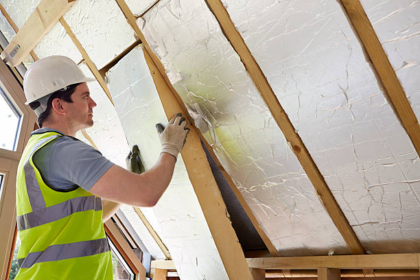Best Commercial Insulation in La Luz, NM